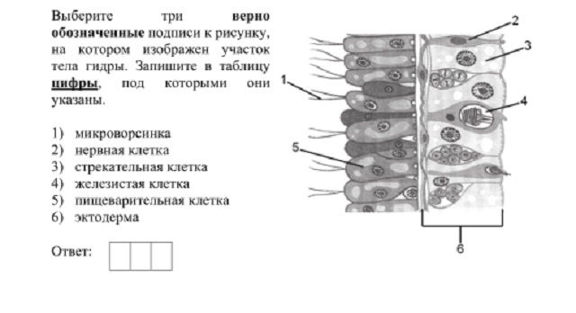 Kraken 2025 ссылка